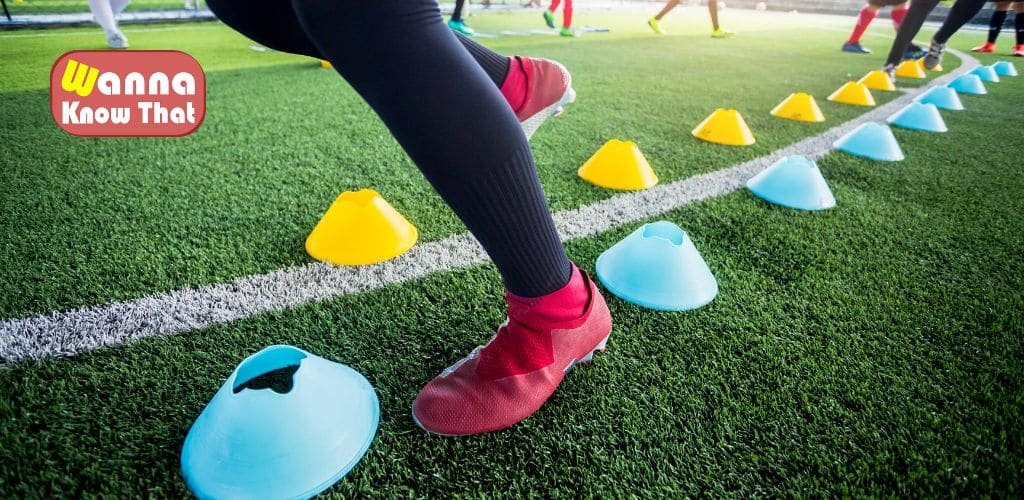 5 Great Training cone sets - WannaKnowThat